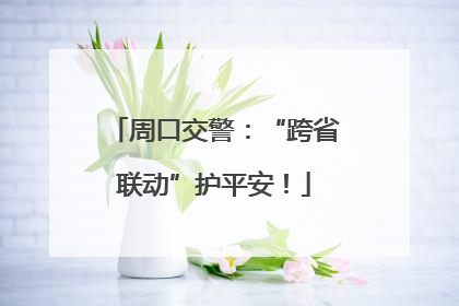 周口交警：“跨省联动”护平安！
