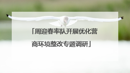 周迎春率队开展优化营商环境整改专题调研