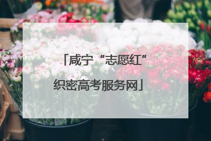 咸宁“志愿红”织密高考服务网