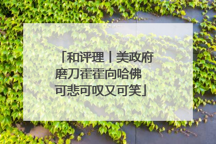 和评理丨美政府磨刀霍霍向哈佛 可悲可叹又可笑