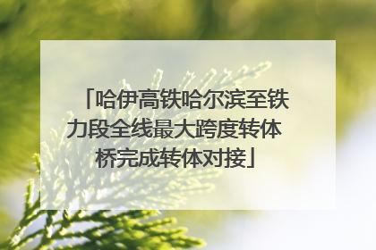 哈伊高铁哈尔滨至铁力段全线最大跨度转体桥完成转体对接