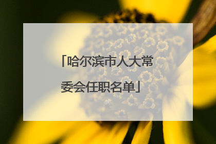 哈尔滨市人大常委会任职名单