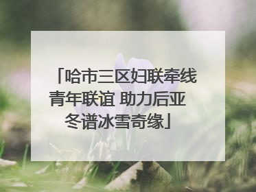 哈市三区妇联牵线青年联谊 助力后亚冬谱冰雪奇缘