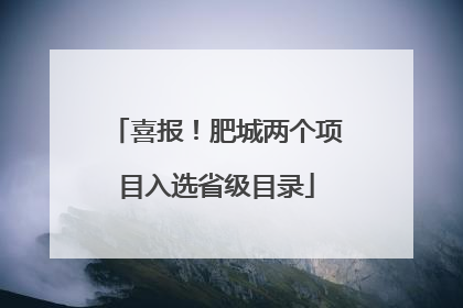 喜报！肥城两个项目入选省级目录