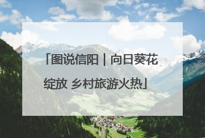 图说信阳｜向日葵花绽放 乡村旅游火热