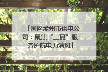 国网孟州市供电公司：聚焦“三夏”服务护航电力清风