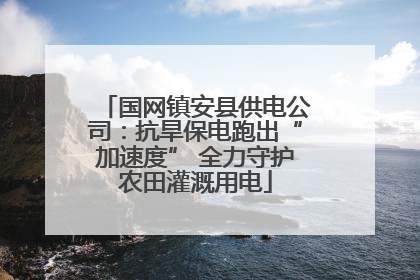 国网镇安县供电公司：抗旱保电跑出“加速度” 全力守护农田灌溉用电