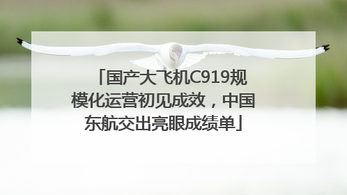 国产大飞机C919规模化运营初见成效，中国东航交出亮眼成绩单
