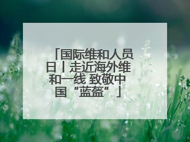 国际维和人员日丨走近海外维和一线 致敬中国“蓝盔”