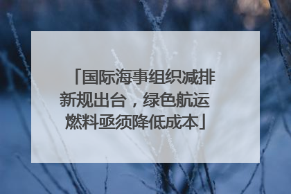 国际海事组织减排新规出台，绿色航运燃料亟须降低成本