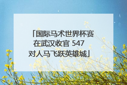 国际马术世界杯赛在武汉收官 547对人马飞跃英雄城
