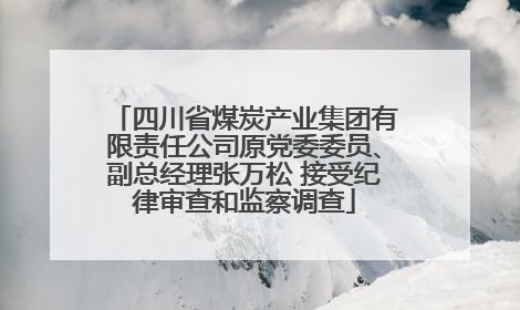 四川省煤炭产业集团有限责任公司原党委委员、副总经理张万松 接受纪律审查和监察调查