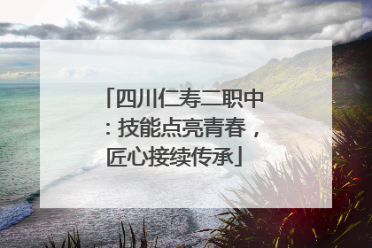 四川仁寿二职中：技能点亮青春，匠心接续传承