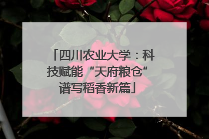 四川农业大学：科技赋能“天府粮仓”谱写稻香新篇