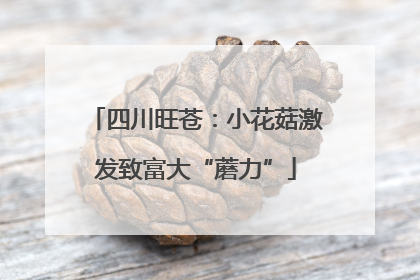 四川旺苍：小花菇激发致富大“蘑力”