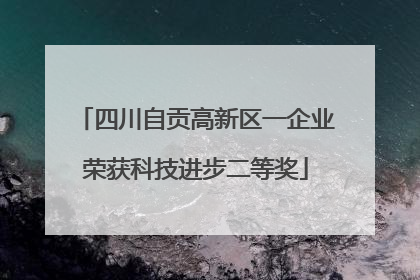 四川自贡高新区一企业荣获科技进步二等奖