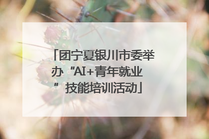 团宁夏银川市委举办“AI+青年就业”技能培训活动
