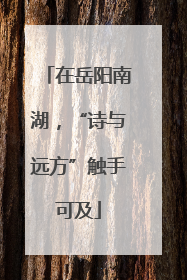 在岳阳南湖，“诗与远方”触手可及