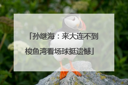 孙继海：来大连不到梭鱼湾看场球挺遗憾