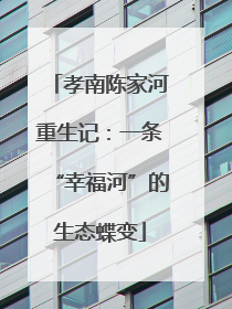 孝南陈家河重生记：一条“幸福河”的生态蝶变