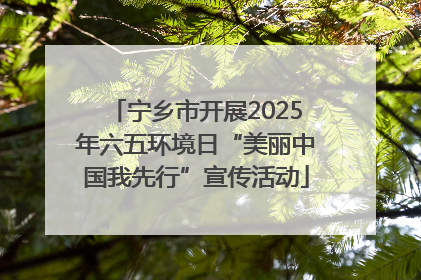 宁乡市开展2025年六五环境日“美丽中国我先行”宣传活动