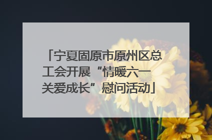 宁夏固原市原州区总工会开展“情暖六一 关爱成长”慰问活动