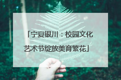 宁夏银川：校园文化艺术节绽放美育繁花