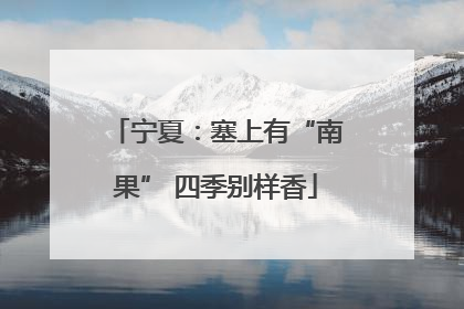 宁夏：塞上有“南果” 四季别样香