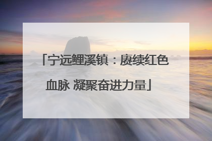 宁远鲤溪镇：赓续红色血脉 凝聚奋进力量