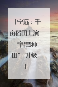 宁远：千亩稻田上演 “智慧种田” 升级