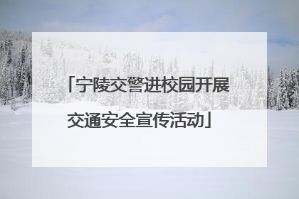 宁陵交警进校园开展交通安全宣传活动