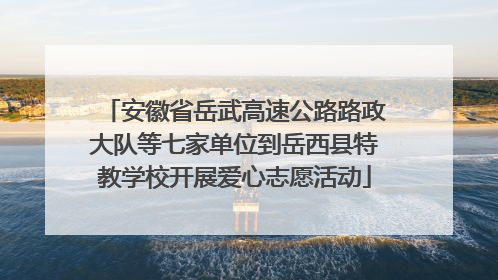 安徽省岳武高速公路路政大队等七家单位到岳西县特教学校开展爱心志愿活动