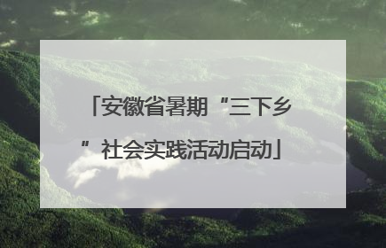 安徽省暑期“三下乡”社会实践活动启动
