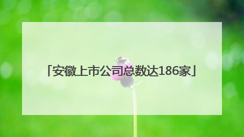 安徽上市公司总数达186家