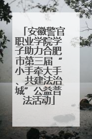 安徽警官职业学院学子助力合肥市第三届“小手牵大手、共建法治城”公益普法活动