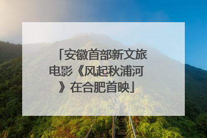 安徽首部新文旅电影《风起秋浦河》在合肥首映
