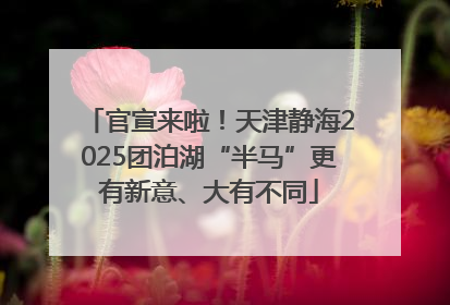 官宣来啦！天津静海2025团泊湖“半马”更有新意、大有不同