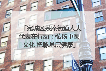 宛城区茶庵街道人大代表在行动：弘扬中医文化 把脉基层健康
