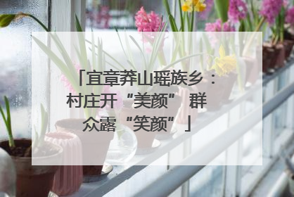 宜章莽山瑶族乡：村庄开“美颜” 群众露“笑颜”