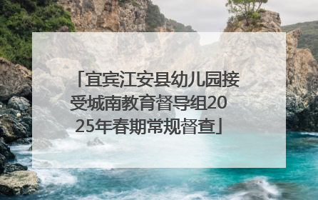 宜宾江安县幼儿园接受城南教育督导组2025年春期常规督查