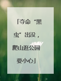 夺命“黑虫”出没，爬山逛公园要小心