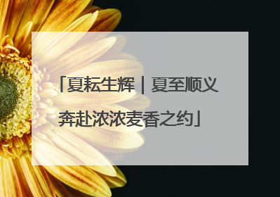 夏耘生辉|夏至顺义奔赴浓浓麦香之约