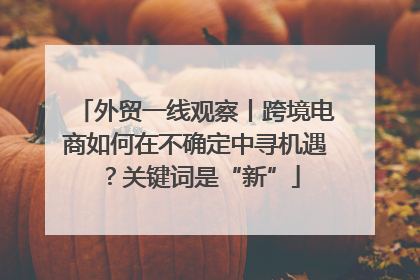 外贸一线观察丨跨境电商如何在不确定中寻机遇？关键词是“新”