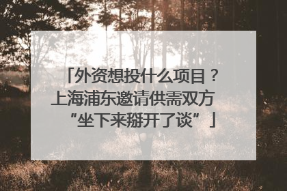 外资想投什么项目？上海浦东邀请供需双方“坐下来掰开了谈”