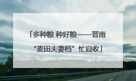 多种粮 种好粮——晋南“麦田夫妻档”忙夏收