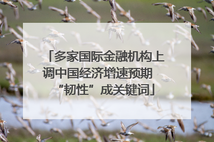 多家国际金融机构上调中国经济增速预期 “韧性”成关键词