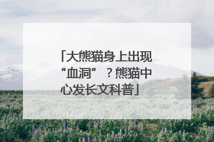 大熊猫身上出现“血洞”？熊猫中心发长文科普