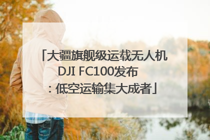 大疆旗舰级运载无人机DJI FC100发布：低空运输集大成者