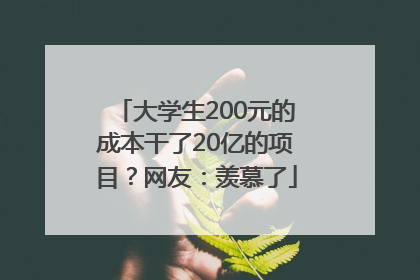 大学生200元的成本干了20亿的项目？网友：羡慕了