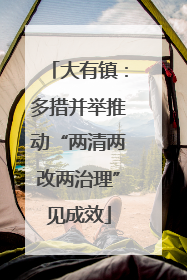 大有镇：多措并举推动“两清两改两治理”见成效